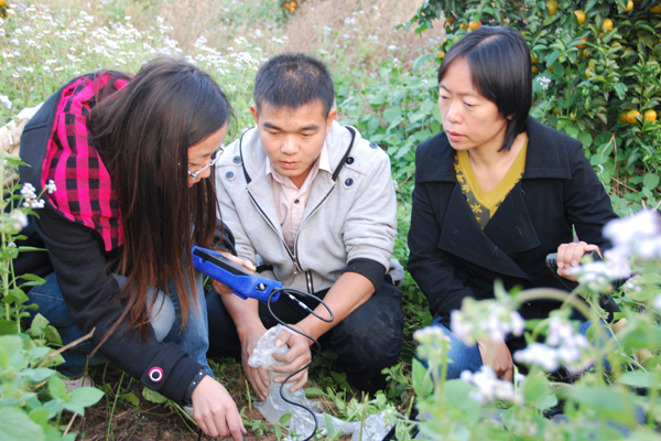 英国威廉集团官网