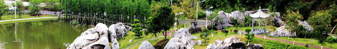 英国威廉集团官网